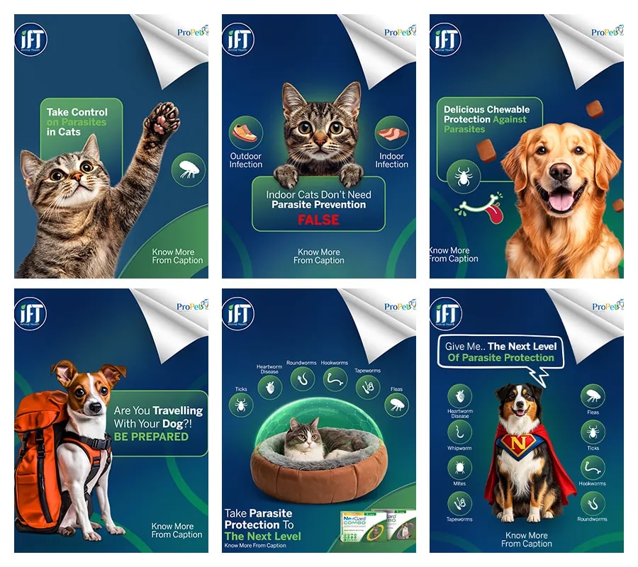 IFT Animal Health